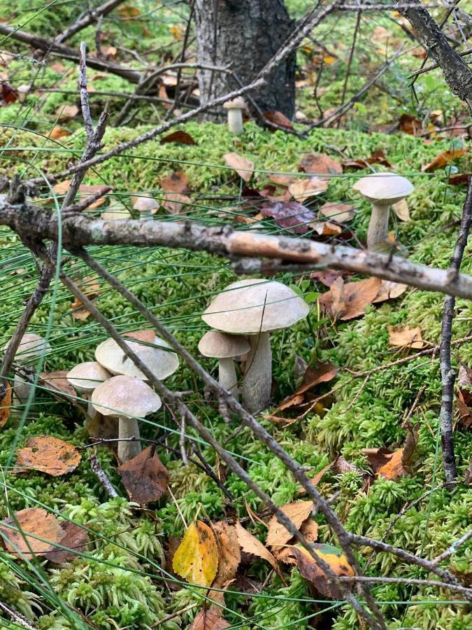 Swiety Spokoj Laka I Woda Pozezdrze Exteriér fotografie