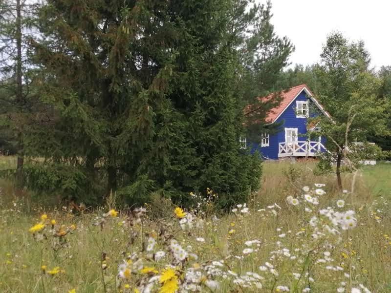 Swiety Spokoj Laka I Woda Pozezdrze Exteriér fotografie