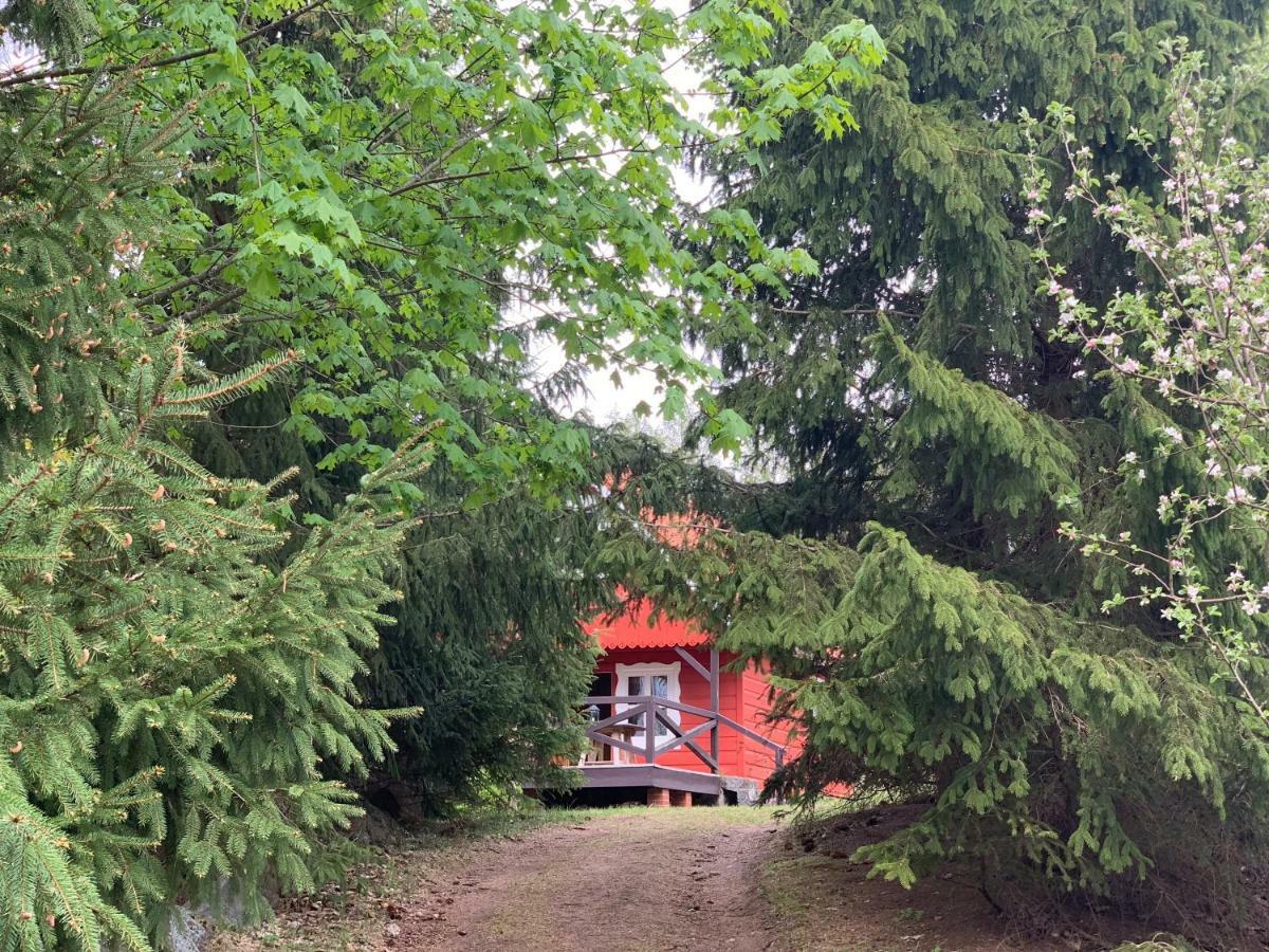Swiety Spokoj Laka I Woda Pozezdrze Exteriér fotografie